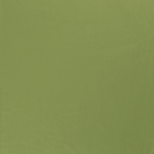 Jogging fabric Apple Green matte 