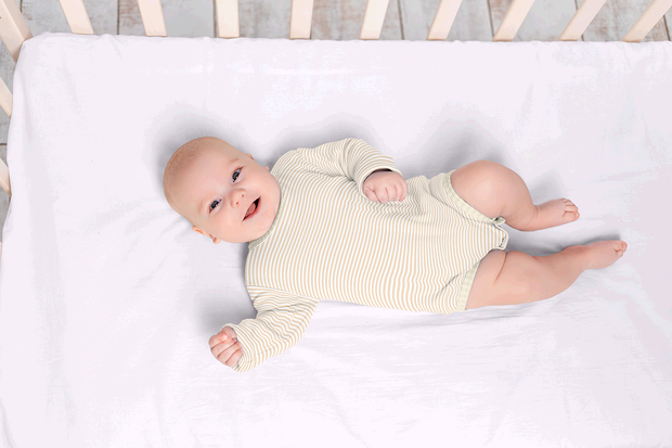 Cotton Jersey Yarn Dyed fabric Stripes Ivory