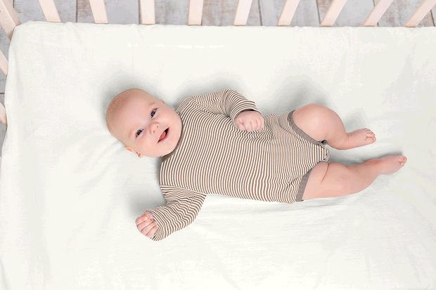 Cotton Jersey Yarn Dyed fabric Stripes Nutmeg