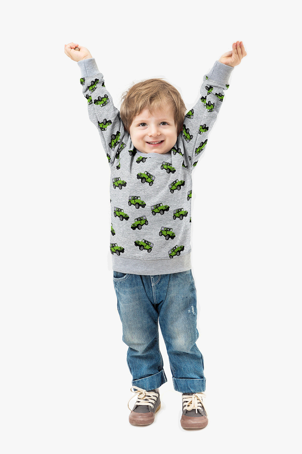 Alphen Fleece fabric Cars Green