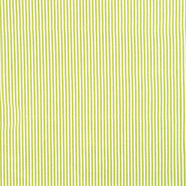 Cotton Poplin fabric Stripes Green