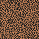 20066/056