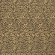 20066/153