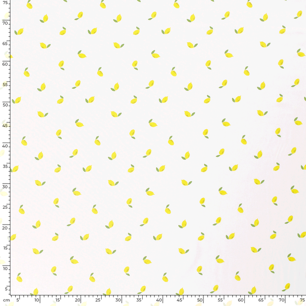 Cotton Poplin fabric Fruits Optical White