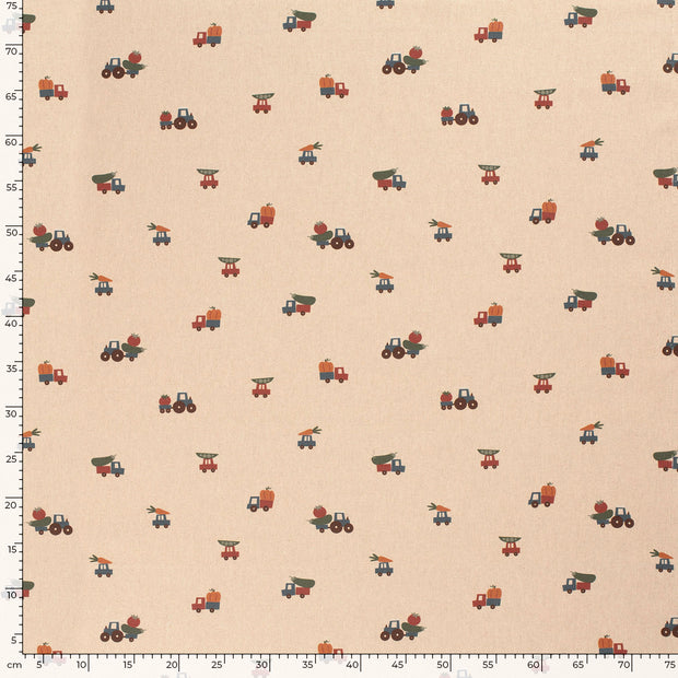 Panama fabric Cars Nude