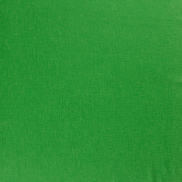 Ramie Linen fabric Green matte 