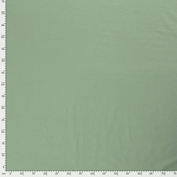 Jersey de Coton tissu Unicolore Menthe foncée