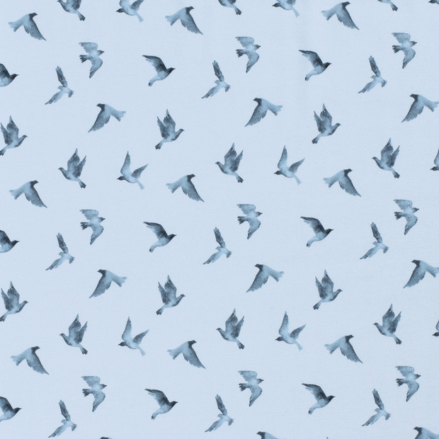 Cotton Jersey fabric Birds Baby Blue