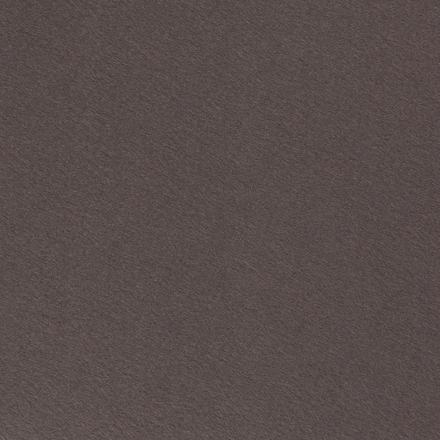Felt 3mm fabric Unicolour Taupe Grey