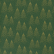 20705/025