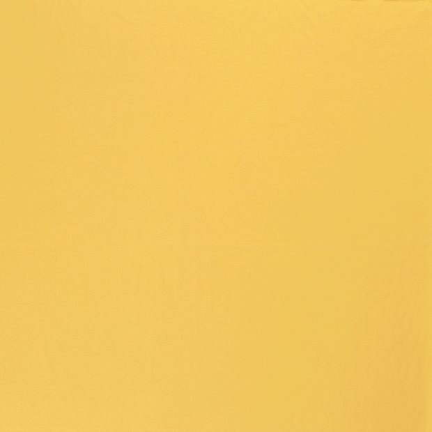 Cotton Jersey fabric Butter Yellow 