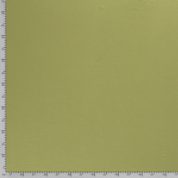 ECOVERO™ French Terry fabric Unicolour Green