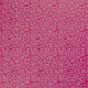 20768/017