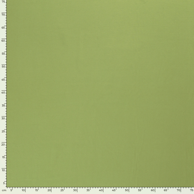 Cotton Jersey fabric Unicolour Apple Green