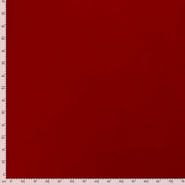 Canvas tissu Unicolore Rouge