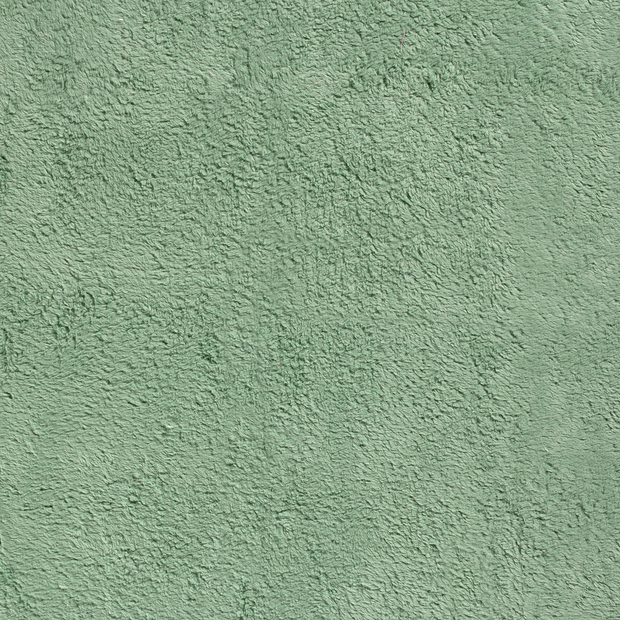 Teddy fabric Dark Mint soft 