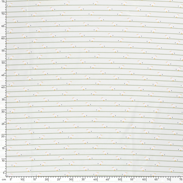 Cotton Poplin fabric Birds Mint