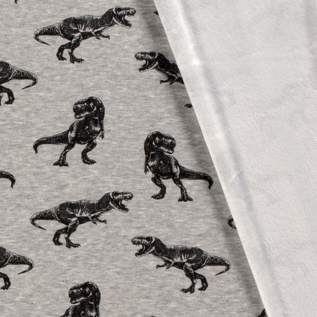 Alphen Fleece fabric Dinosaurs printed 