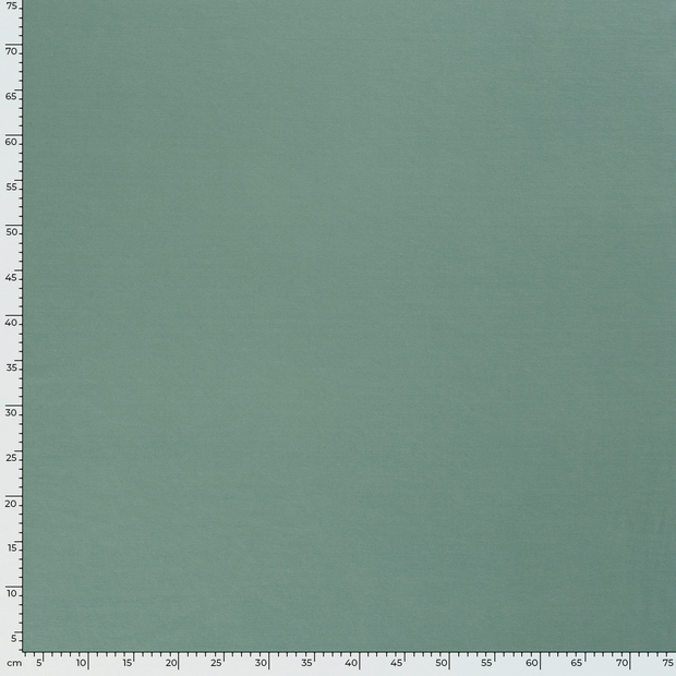 Punta di Roma fabric Unicolour Mint